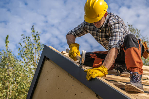 Best Gutter Replacement  in USA